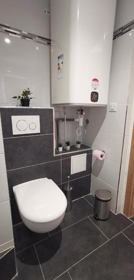 App 11 Mulhouse Centre , 4 Personnes Apartment Luaran gambar